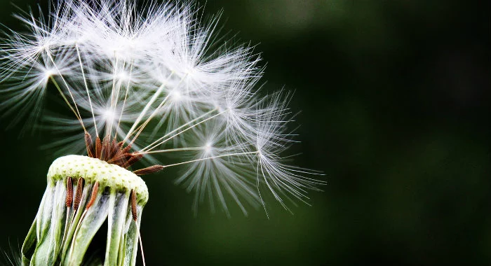 Sleep affects allergies
