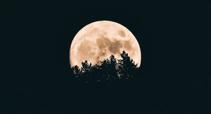 Your body knows when it's nighttime. 